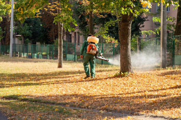 Professional Pest Control in Kemah, TX