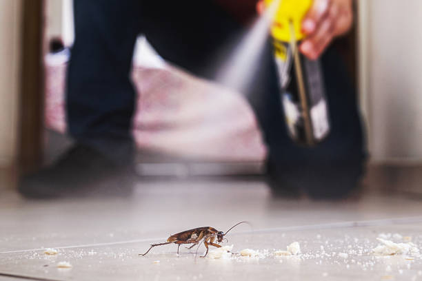 Kemah, TX Pest Control Company