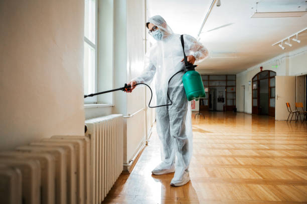 Best Pest Prevention Services  in Kemah, TX